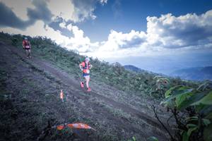 BIB: 5216
                            <button type="button" onclick="openModal(15955279)" class="btn btn-primary btn-sm float-right btn-popup" data-toggle="modal" data-target=".modal-high-quality">
                        <i class="fas fa-shopping-cart"></i> Add to Cart
                    </button>
                                            <button type="button" onclick="isThisMe(15955279, true)" class="btn btn-success btn-sm float-right btn-popup btn-isme hidden" data-toggle="tooltip" data-placement="bottom" title="นี่คือรูปของคุณใช่ไหม คลิกที่นี่เพื่อเอาเข้าอัลบั้ม">
                        <i class="fas fa-plus"></i> Add to album
                    </button>
                    <button type="button" onclick="isThisMe(15955279, false)" class="btn btn-warning btn-sm float-right btn-popup btn-isnotme hidden">
                        <i class="fas fa-ban"></i> Remove from album
                    </button>